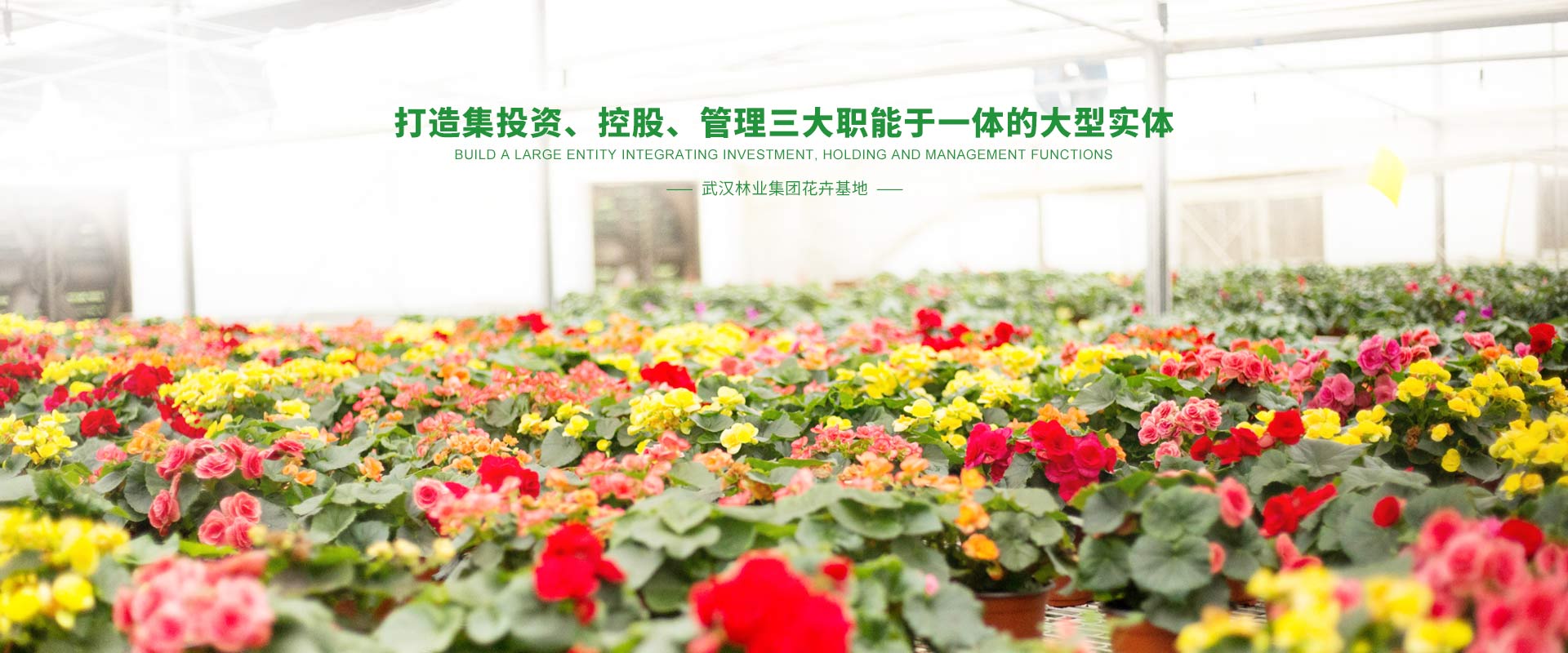 林业集团